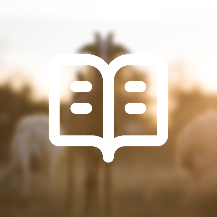 Get Early Access to Storylines Cabin Availability Announcements