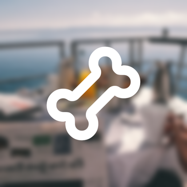 Managing Pets on a Residential Cruise Ship (If applicable)