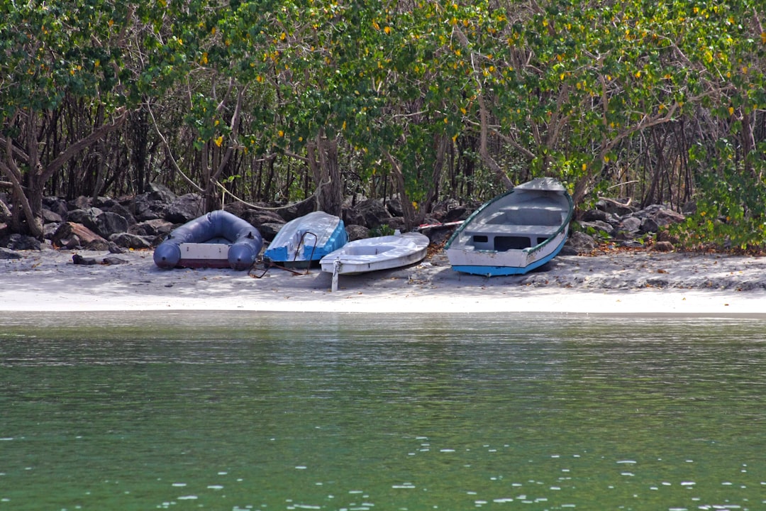 Anegada Image