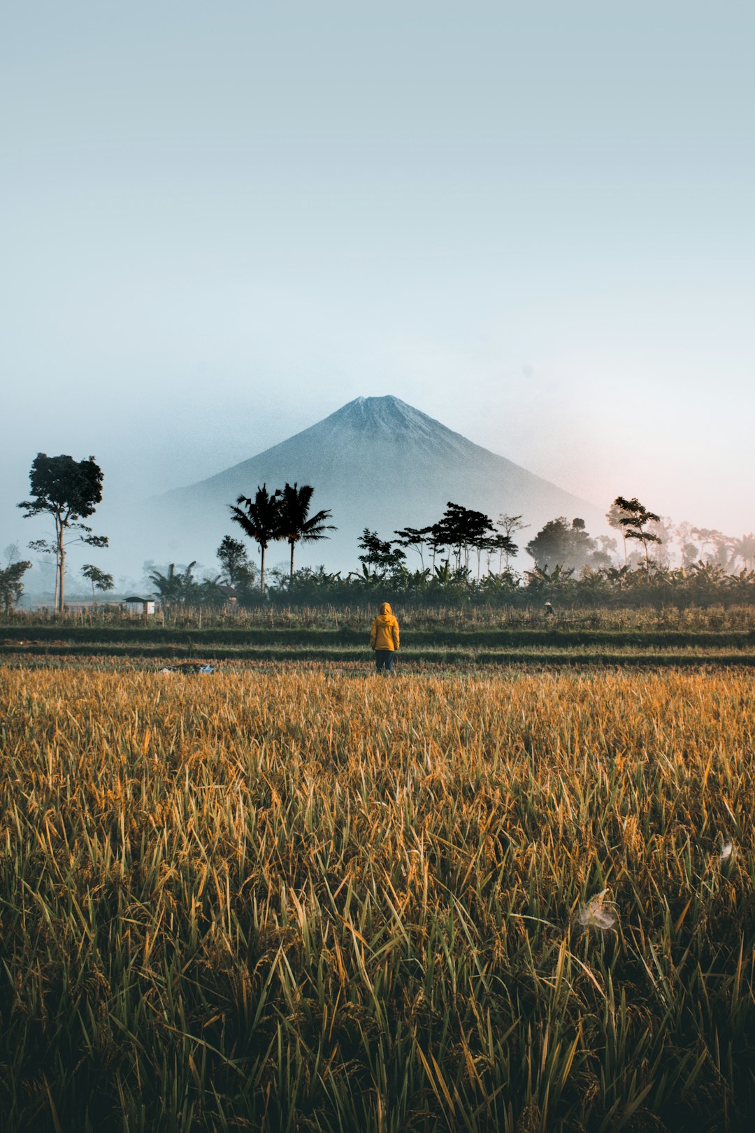 Dalhan Bay Image