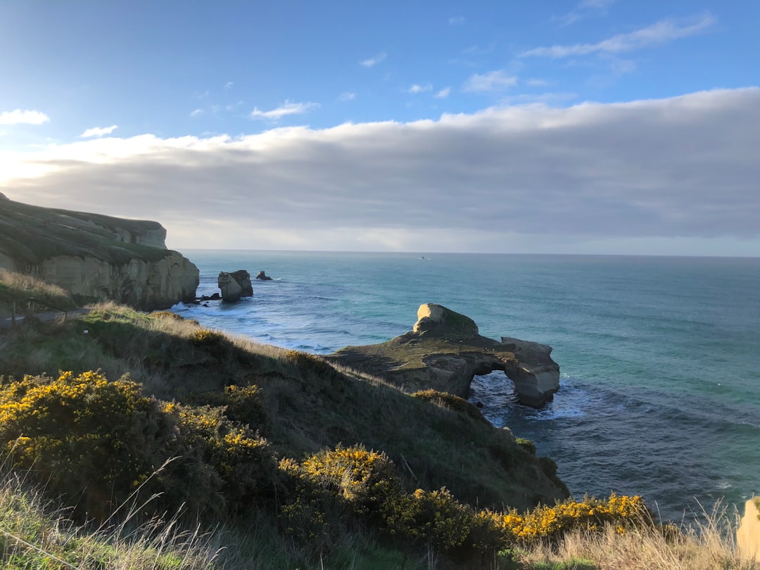 Dunedin Image