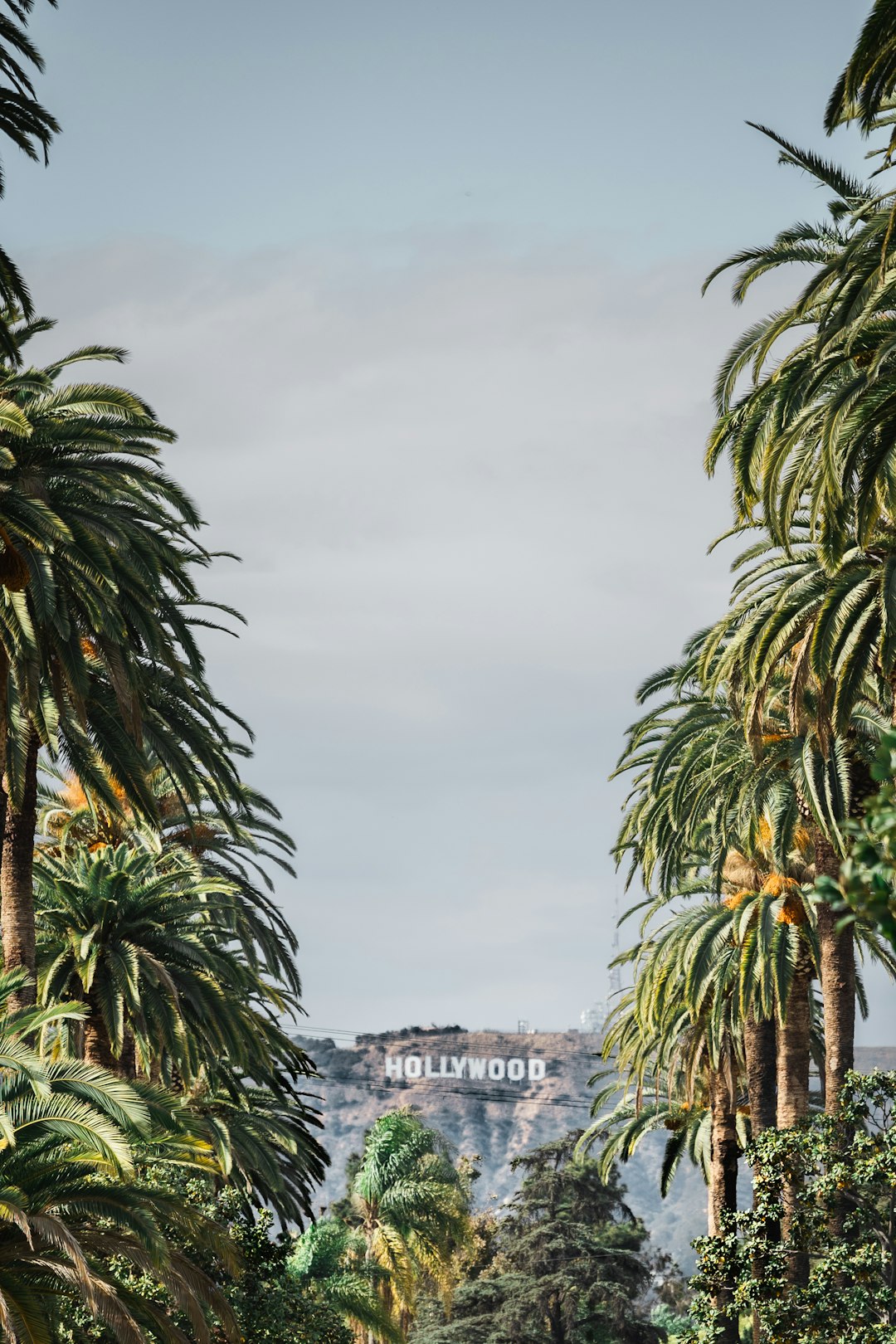 Frederiksted Image