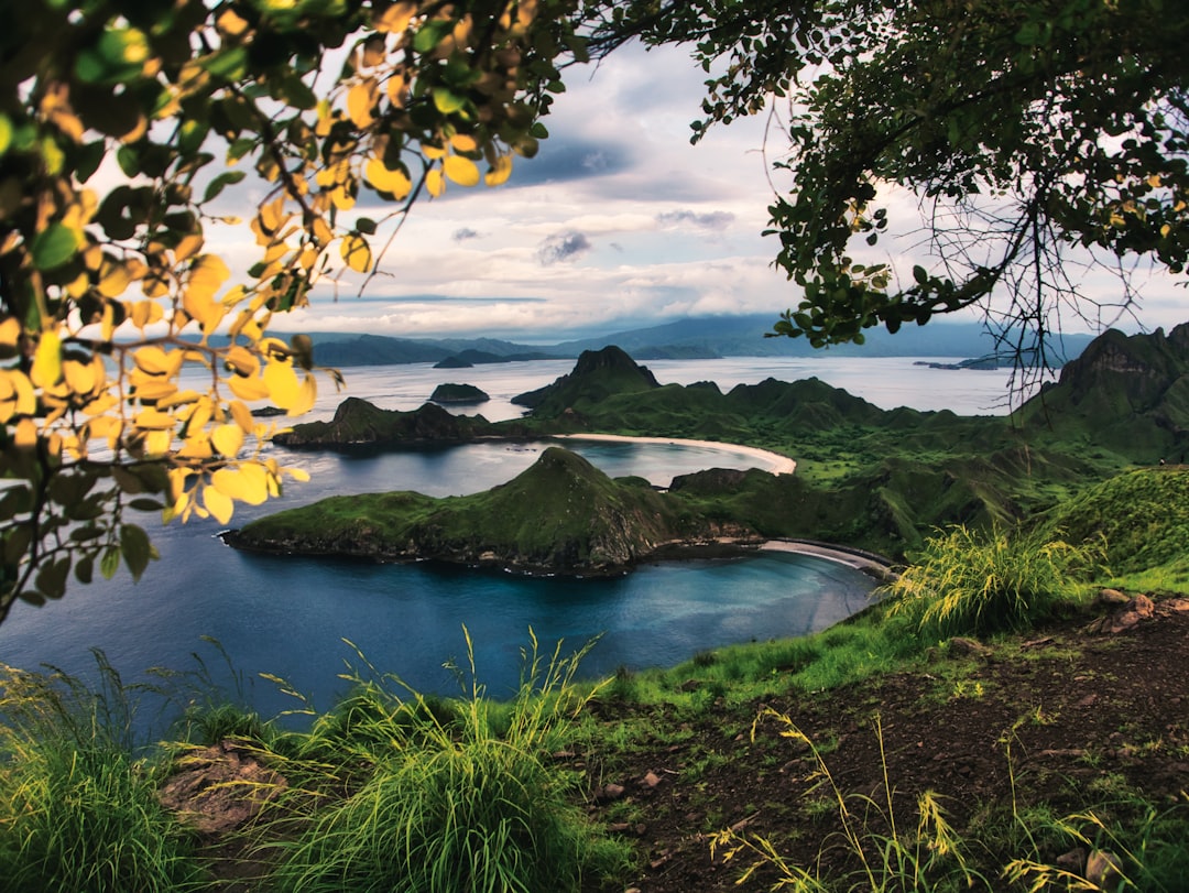 Komodo Island Image