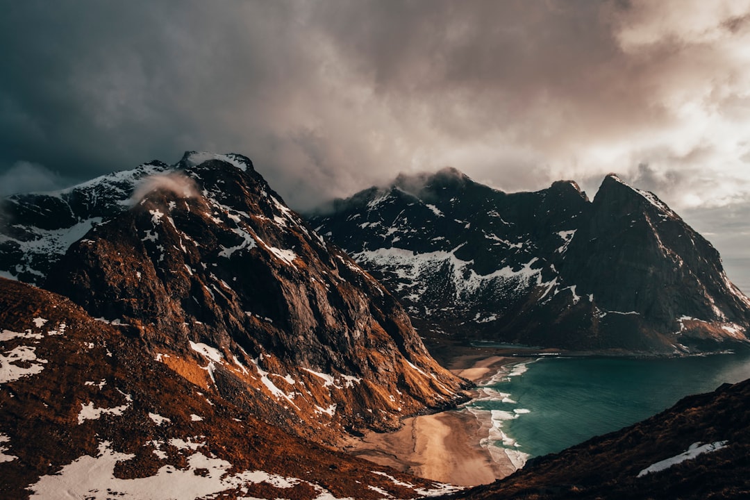 Moller Harbour Image