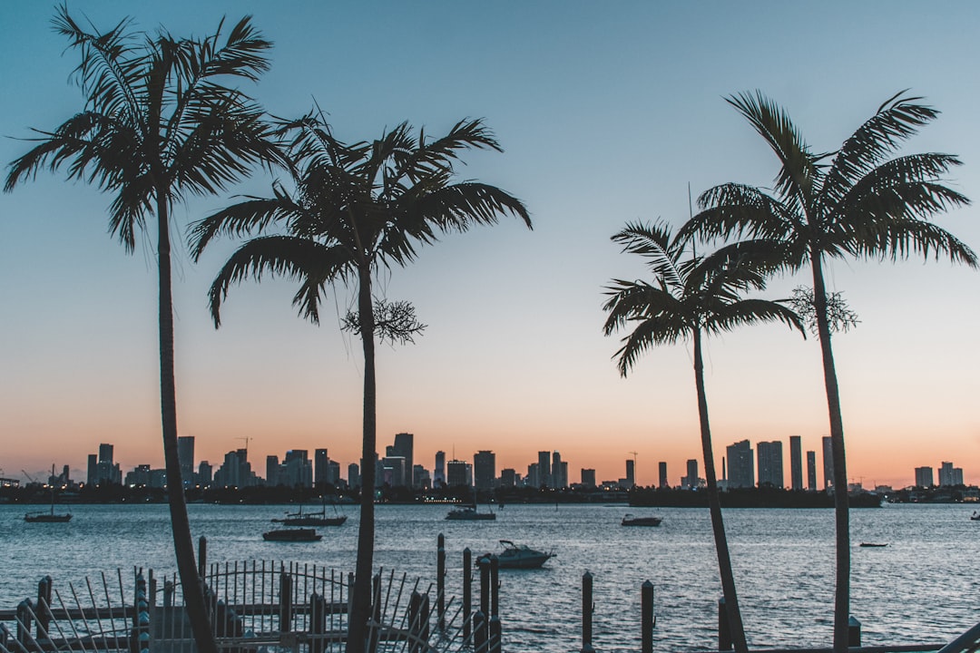 Palm Beach Image
