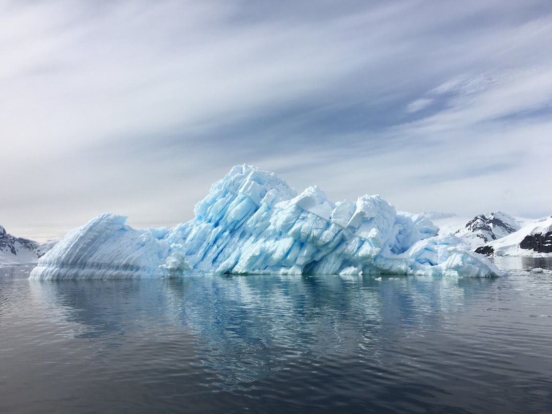 Paulet Island Image