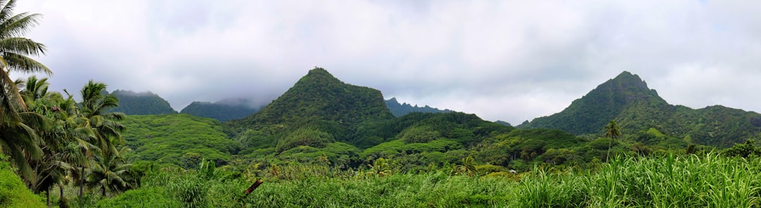 Rarotonga Image