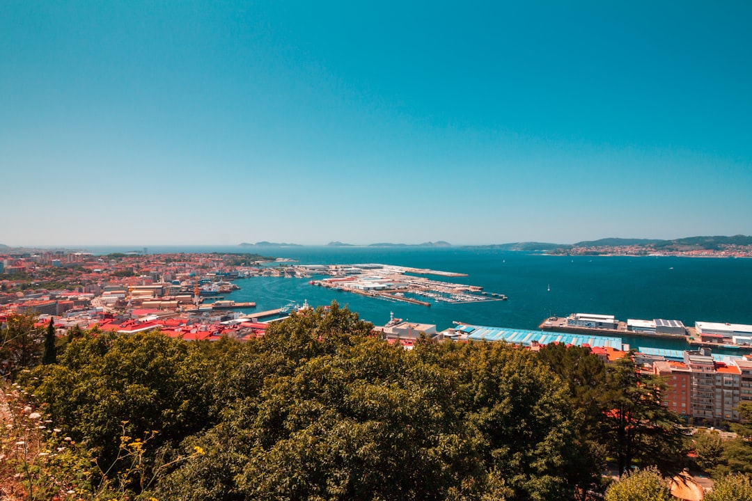 Vigo Image